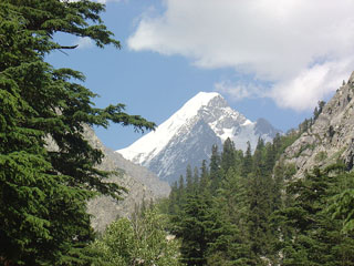 Pakistan