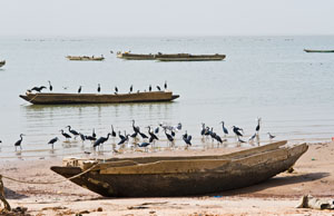 Gambia