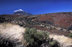 Canary_islands