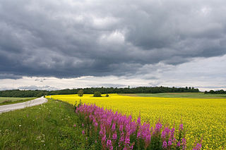 Estonia