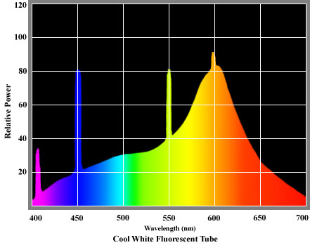 spdcoolfluorescent