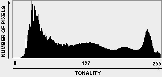 RGB Histogram