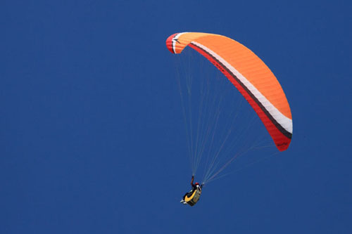 Paraglider