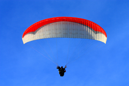 Paraglider