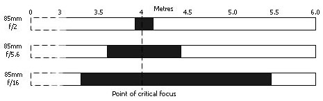 DOF scale