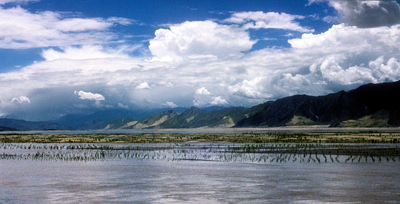 Brahmaputra