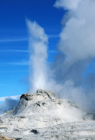 Castle geyser, Yellowstone