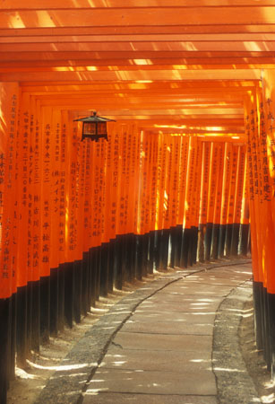 Torii Gates, Japan