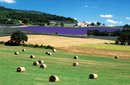 Provence, France