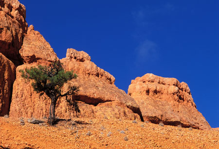 Red Canyon, Arizona, USA